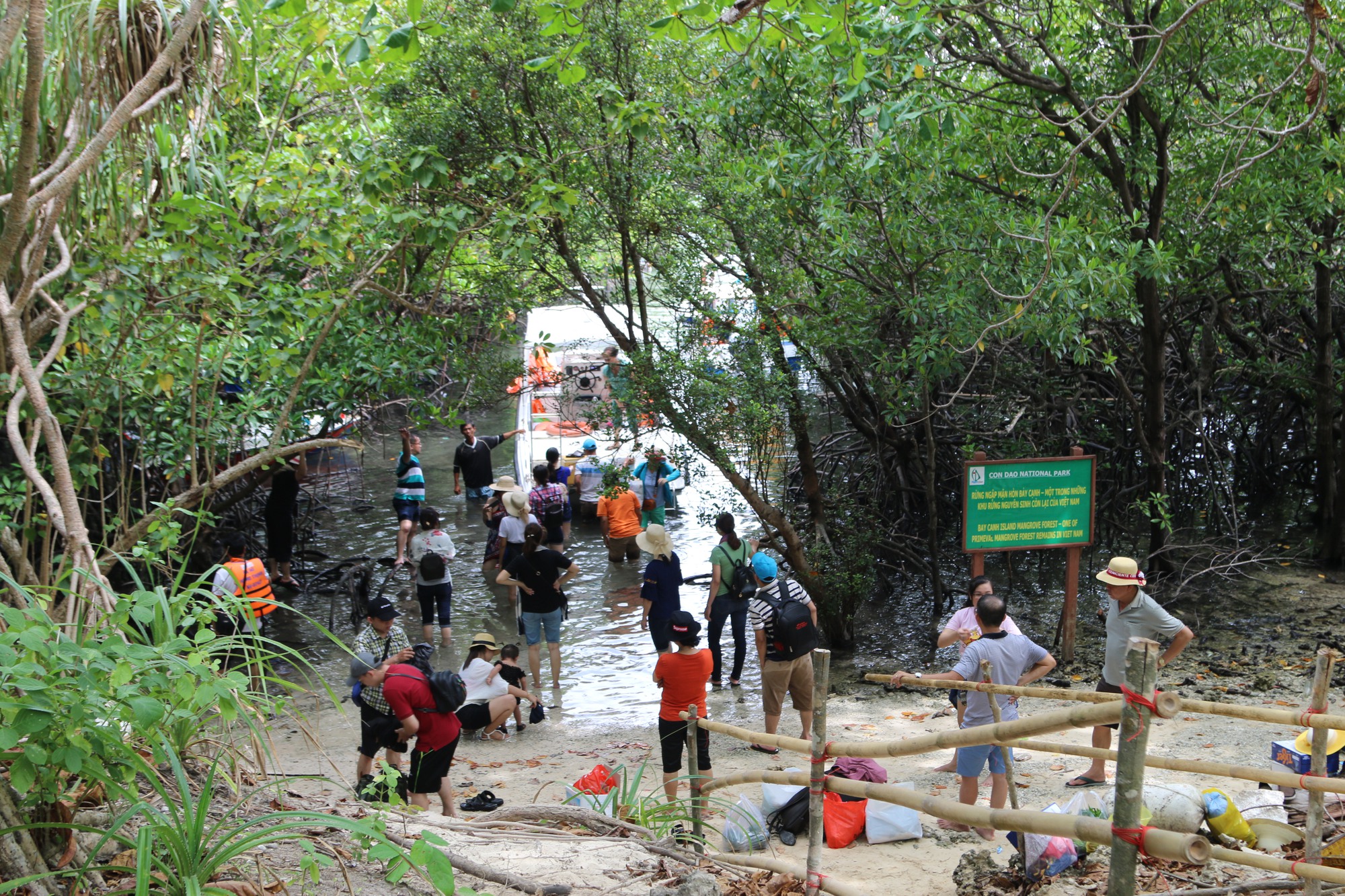 Phát triển H.Côn Đảo trở thành khu du lịch sinh thái biển đảo chất lượng cao - Ảnh 1.