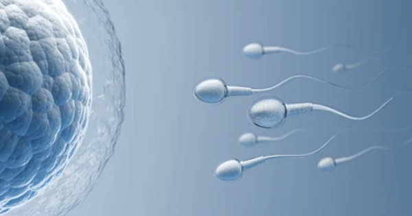 Infertility, weak sperm due to abuse of muscle-building and skin-tightening drugs