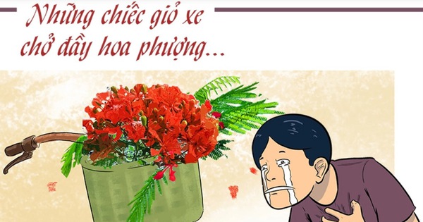 'Chấn động' vì chồng vẫn yêu loài hoa yêu thích của... người yêu cũ