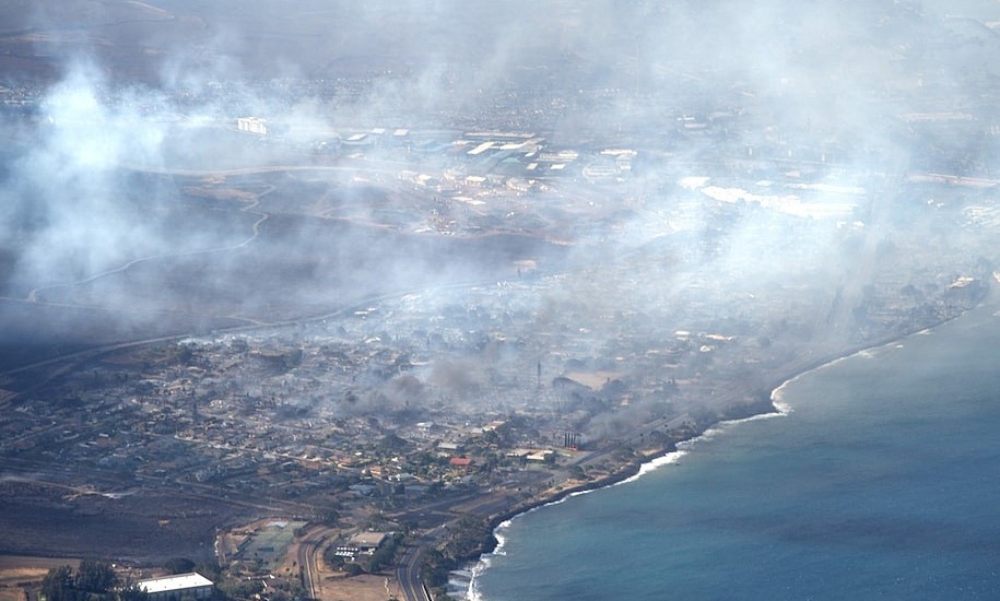 Bão lửa Hawaii là thảm họa 'có thể đoán trước'