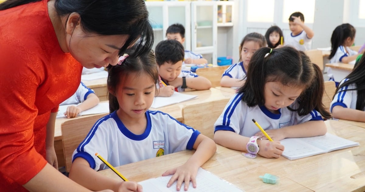 교사가 자신의 수업에서 외부 학생을 지도할 수 있도록 하는 계획