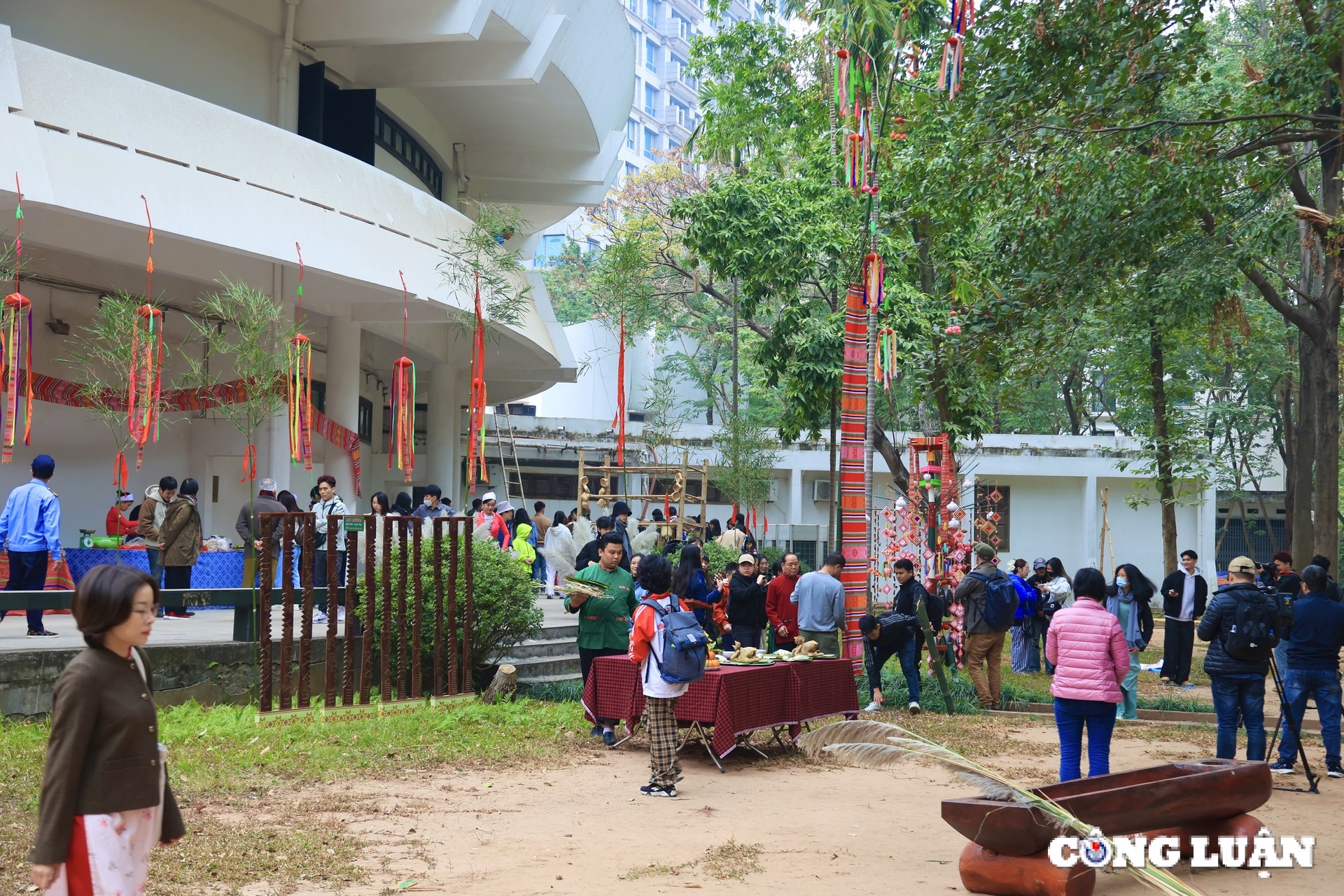 How do people in Binh Duong plant flowers on Tet holiday 2025? Picture 3