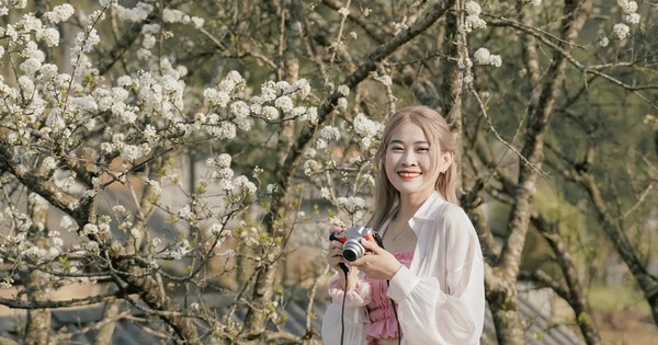 Genießen Sie die Frühlingsblumen, die im März überall auf den Hügeln blühen