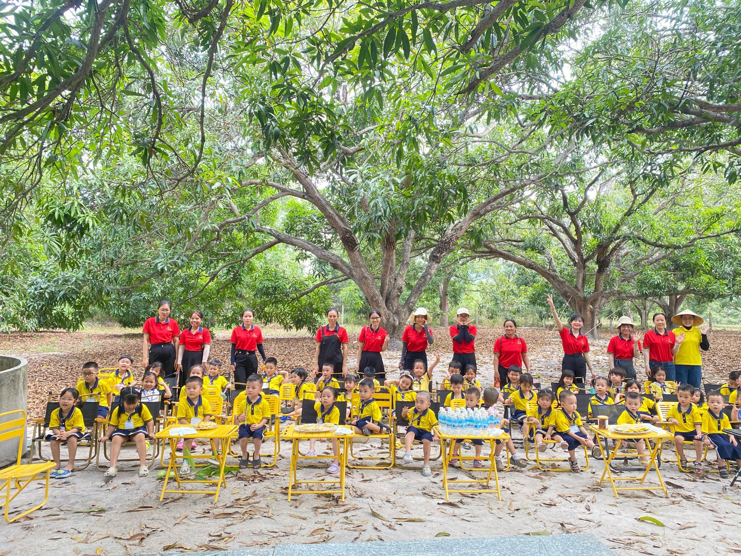 Một vùng đất của tỉnh Khánh Hòa có những cây xoài cổ thụ, du khách kéo đến check in, nông dân chỉ việc thu tiền- Ảnh 6.