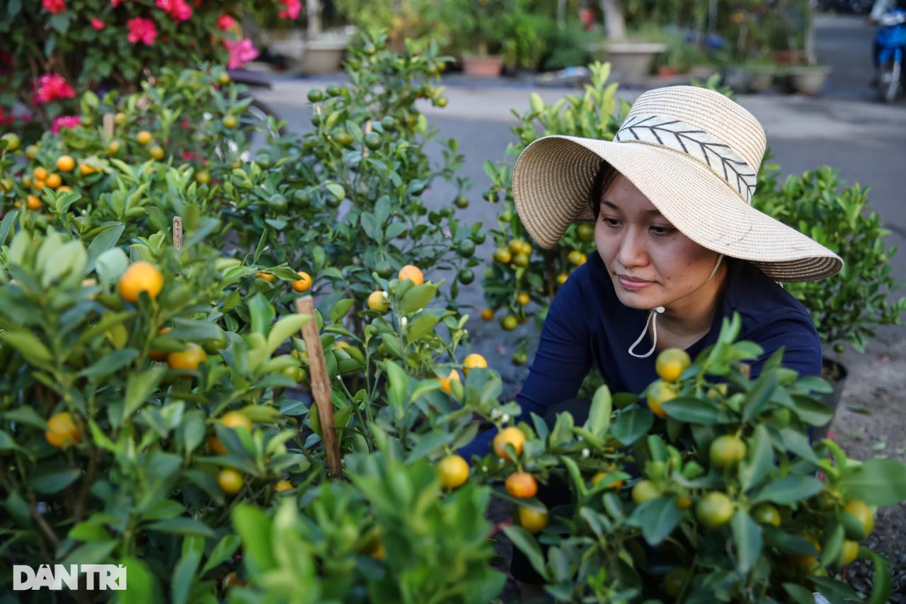 Con đường dọc kênh Tham Lương rực rỡ dịp Tết Nguyên đán - 6