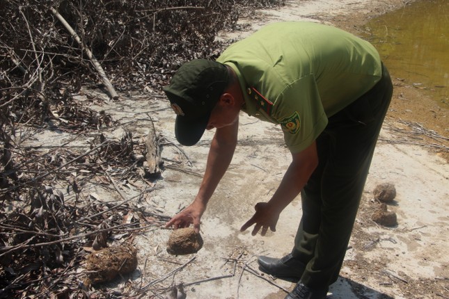 Construcción de tanques de agua, agregando sales minerales para 'combatir la sed' de animales salvajes foto 5