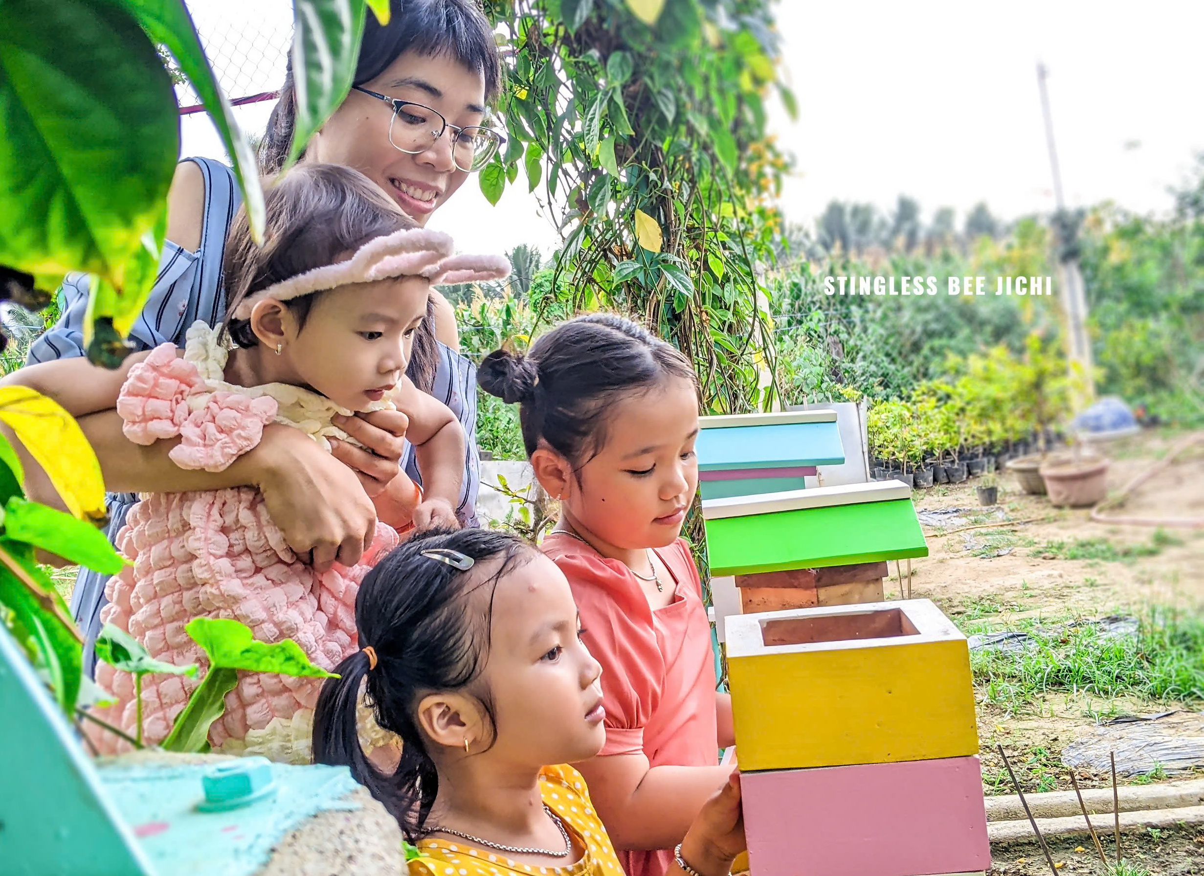 A funny-sounding insect that flies all day, successfully raised in Ninh Thuan, sweet honey product achieves OCOP star