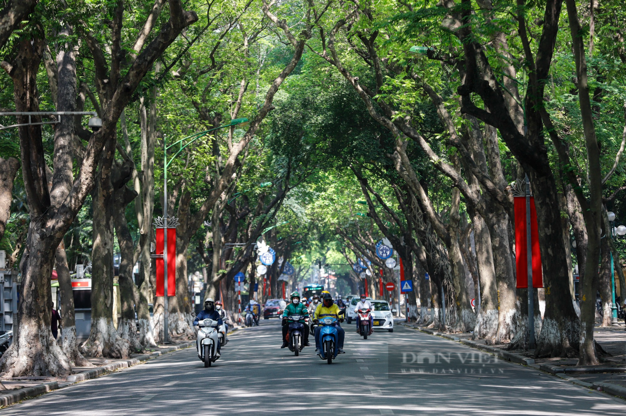 ផ្លូវ​ដើម្បី​បន្ធូរ​បន្ថយ​កម្ដៅ​នៅ​ទីក្រុង​ហាណូយ រូបថត ១