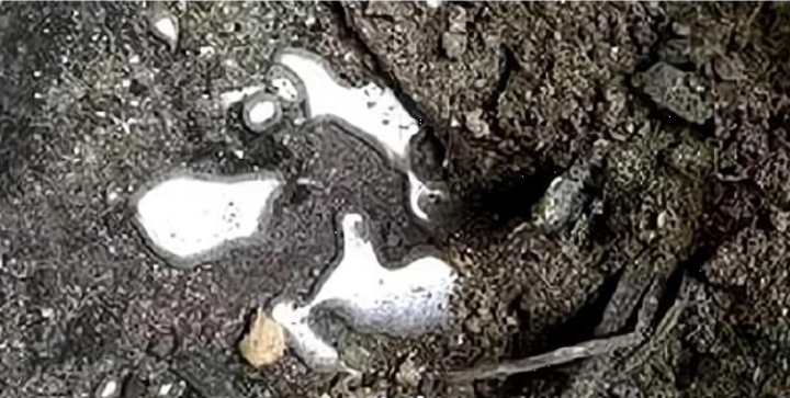 Beim Ausgraben des roten Sarges tritt Quecksilber aus, was Experten in Panik versetzt und zur Flucht veranlasst - 3