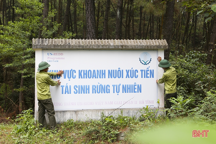 For Hong Linh forest to stay green forever...