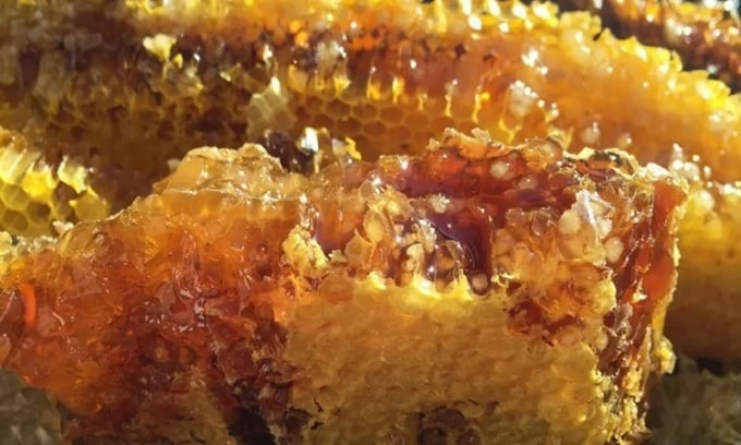 マッドハニーはシャクナゲの蜜を食べたミツバチによって生産されます。写真: Interesting Engineering