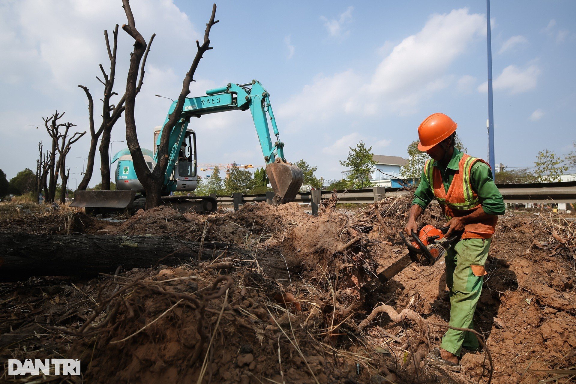 Des centaines d'arbres ont été déplacés pour construire la plus grande intersection de Ho Chi Minh-Ville, photo 1