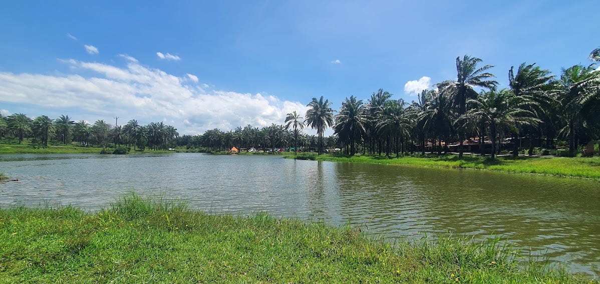 Palm Oil Park Area, Dong Ha City, where the Investor Consortium proposed the Project of 5-star Hotel and Housing Project of Palm Oil Park