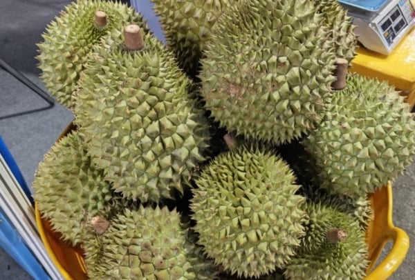 Les prix du poivre ont encore augmenté ; Les prix du durian thaïlandais chutent à des niveaux bas