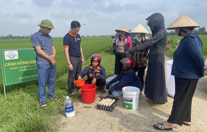 ผสมส่วนผสมทางโภชนาการจากไข่ไก่ นมสด และน้ำมะนาว เพื่อฉีดลงบนข้าวออร์แกนิกในแบบจำลอง ภาพโดย : เหงียน ฮว่าน