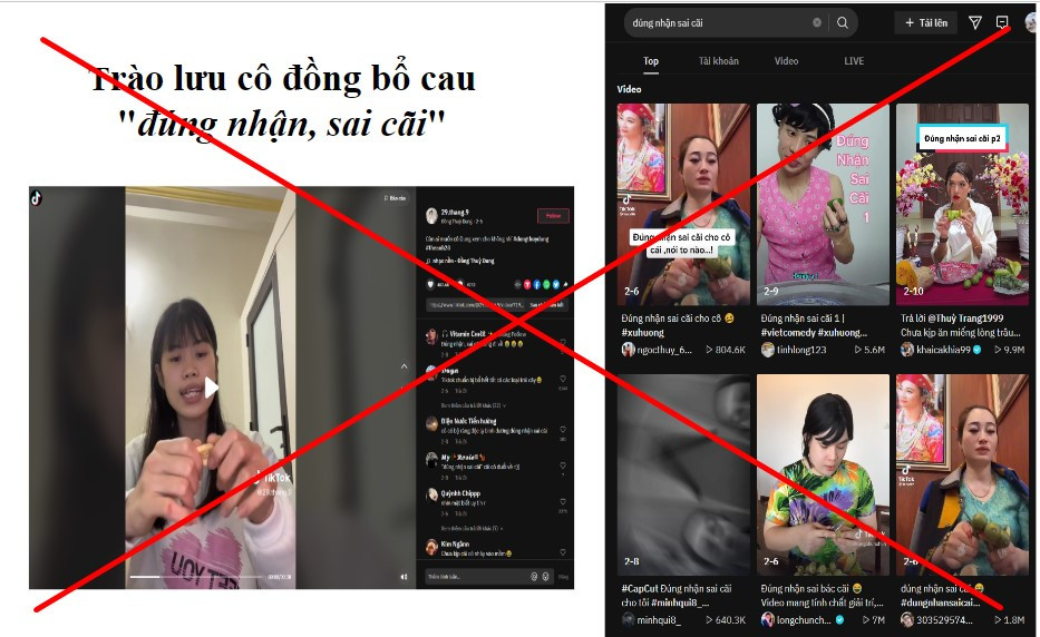 Event - TikTok's operations in Vietnam will be comprehensively inspected in May (Figure 2).