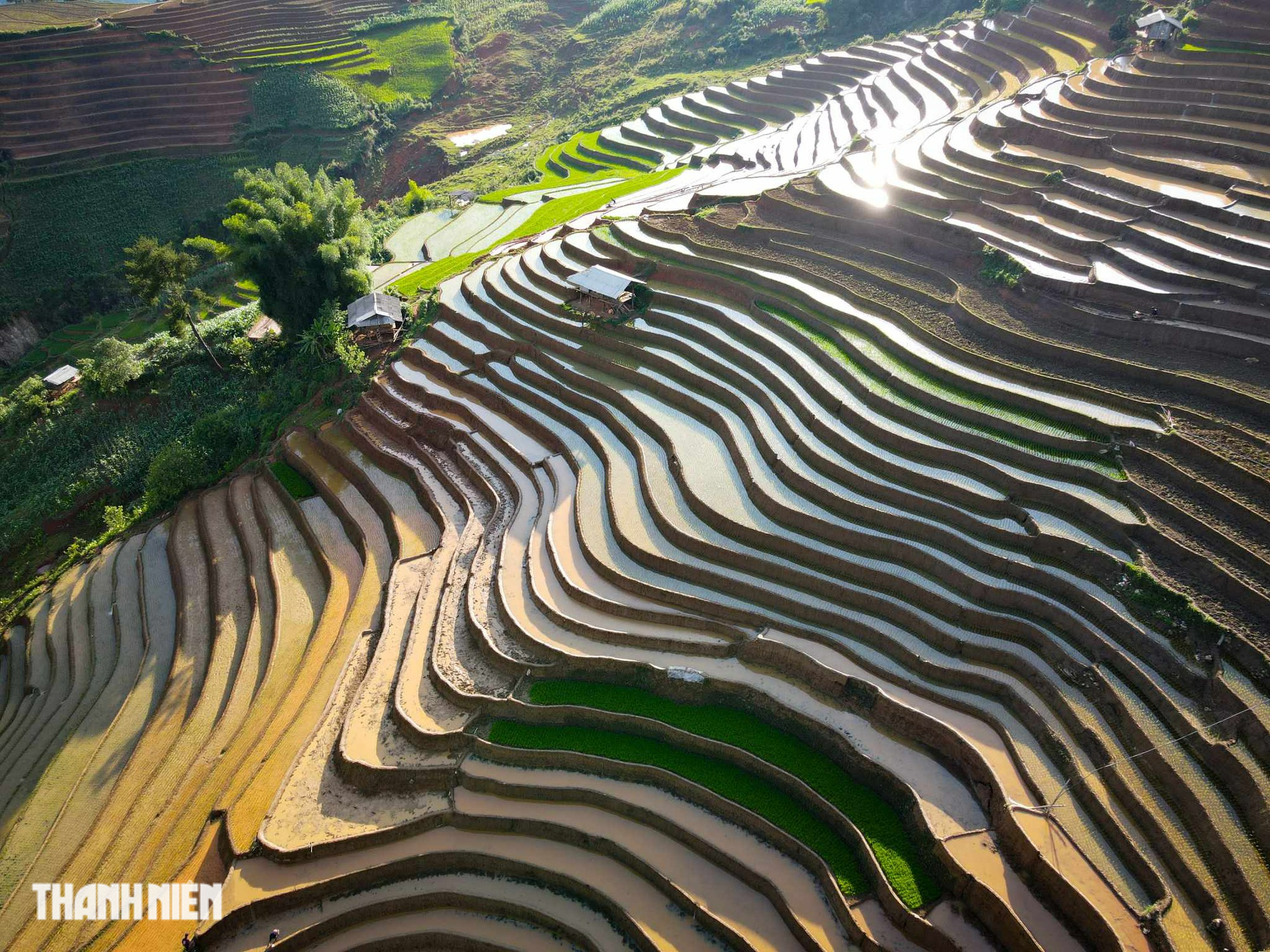 Mãn nhãn ruộng bậc thang Mù Cang Chải mùa nước đổ - Ảnh 8.