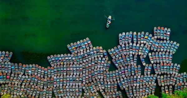 ผลงานที่ได้รับรางวัลจากเทศกาลศิลปะภาพถ่ายภูมิภาค Red River Delta ครั้งที่ 26 ประจำปี 2024