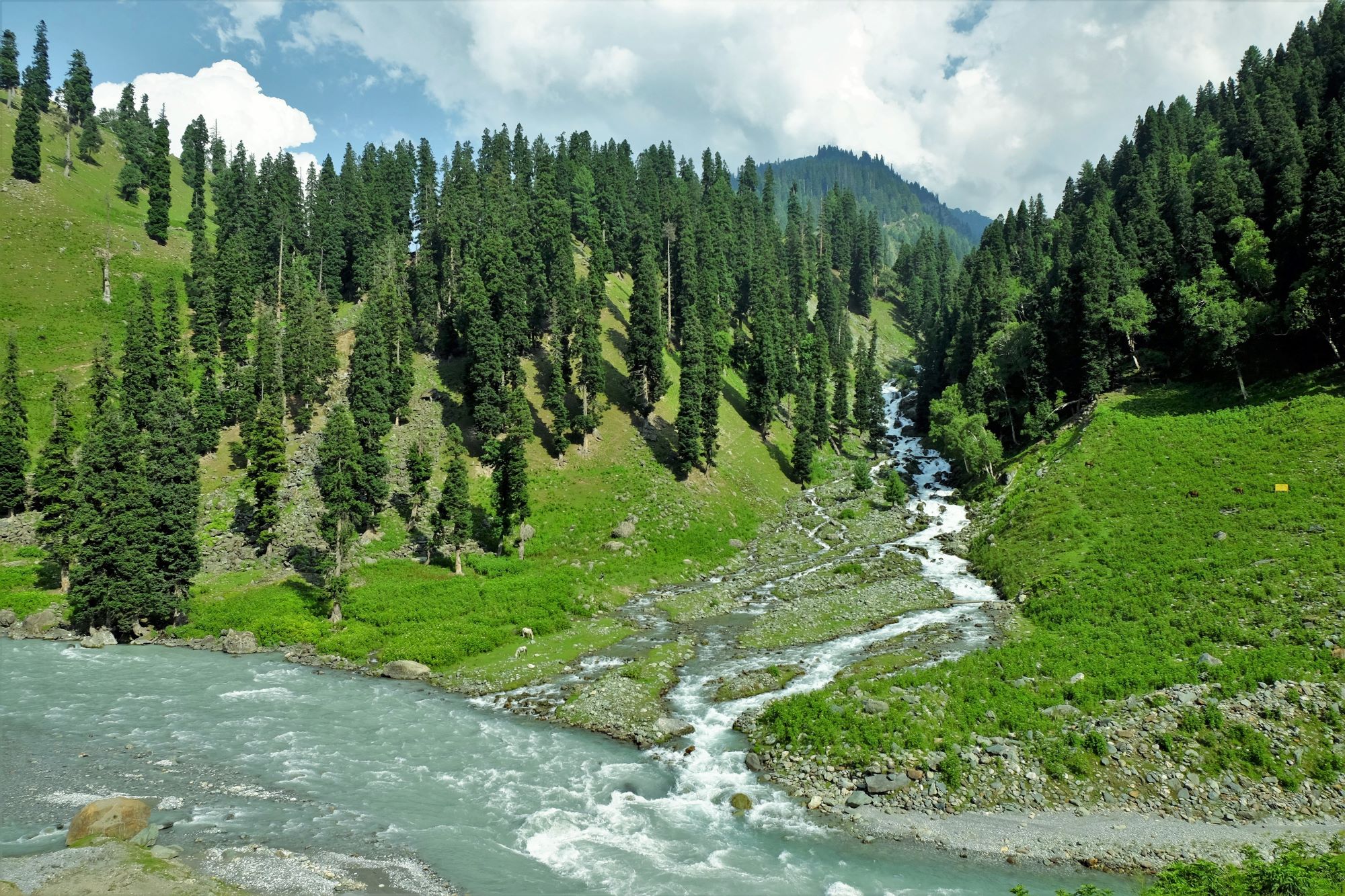 Nữ du khách Việt trong hành trình khám phá 'thiên đường hạ giới' Kashmir  - Ảnh 2.