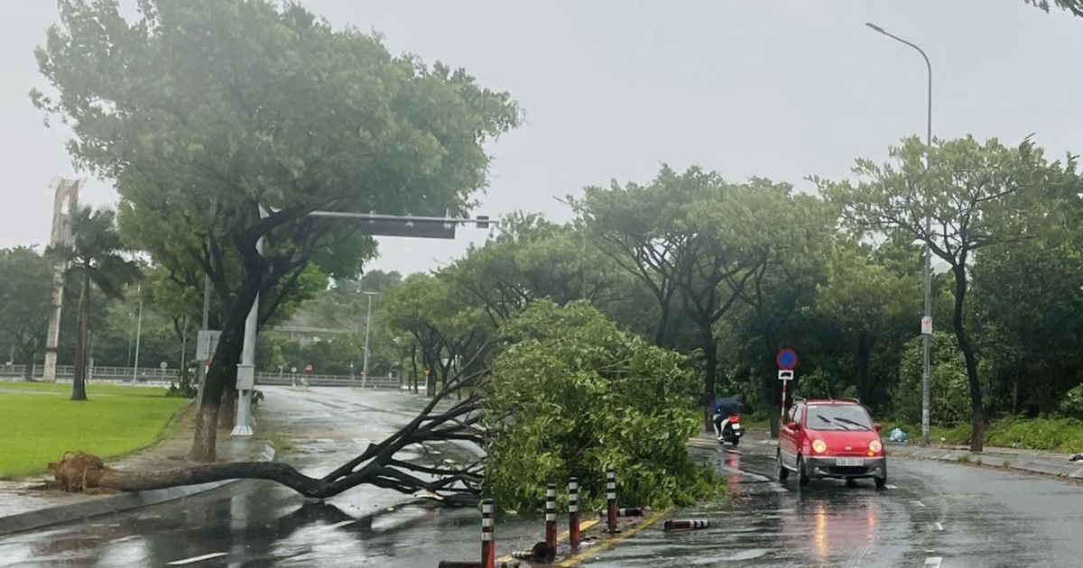 VPF hoãn trận Đà Nẵng gặp Hải Phòng, dời ngày khác