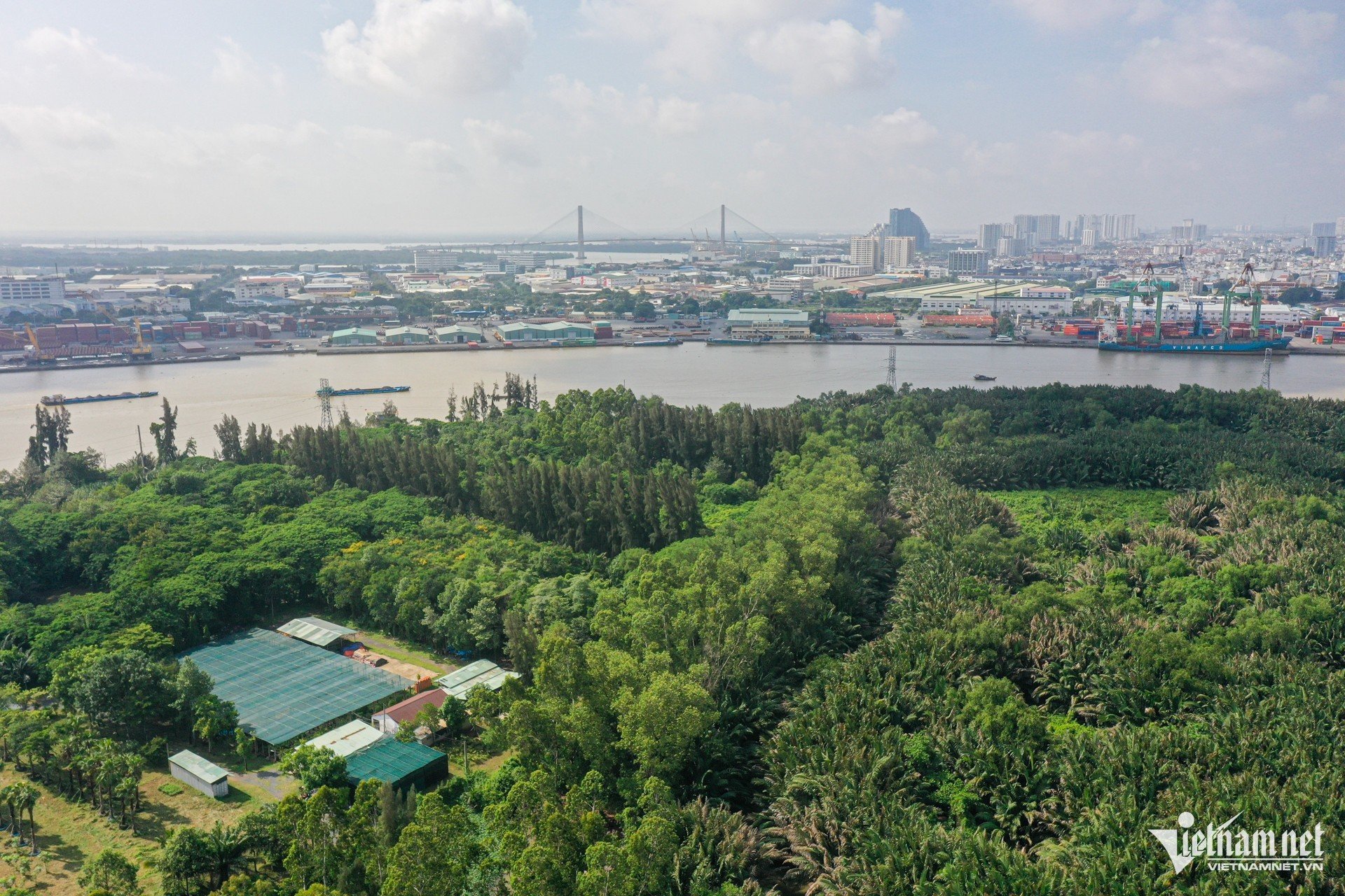 Un marais de 128 ha à Ho Chi Minh-Ville avant de devenir un parc de 6 400 milliards de VND photo 10