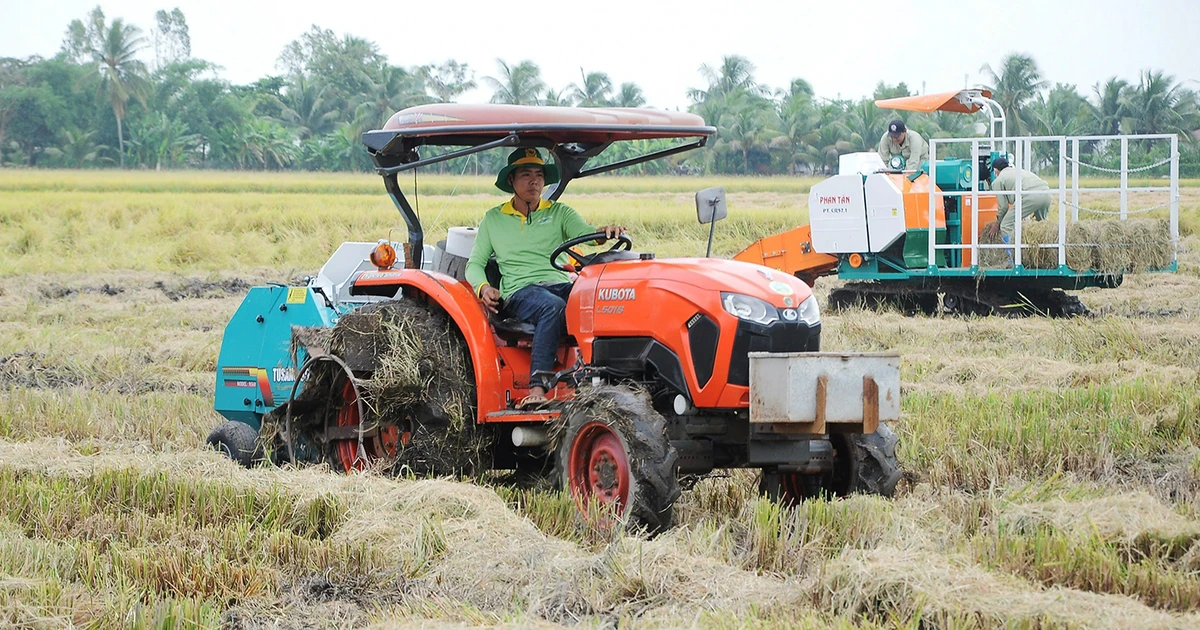 Kỳ vọng những ruộng lúa chất lượng cao đầu tiên ở miền Tây