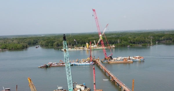 Converting forest land to build a 4,900 billion bridge connecting Dong Nai and Ba Ria