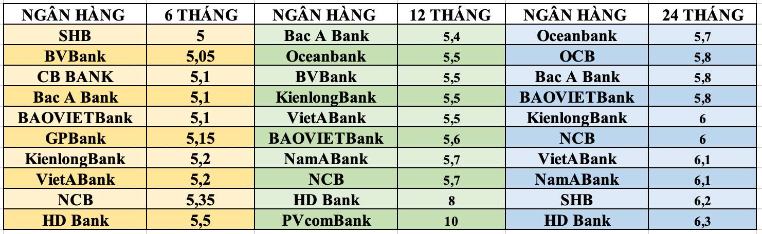 Tổng hợp các ngân hàng có lãi suất cao nhất thị trường hiện nay. Đồ hoạ: Tuyết Lan 