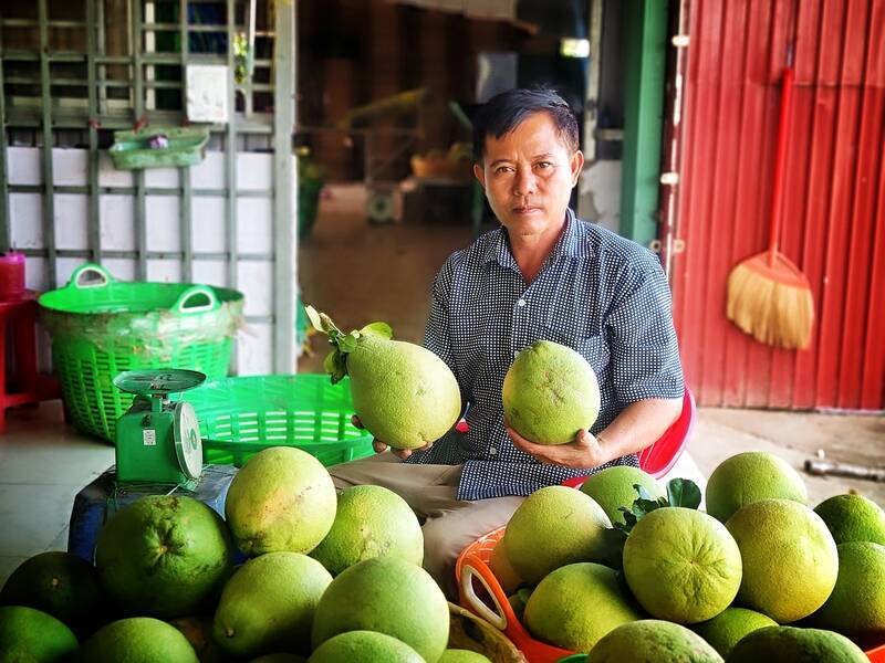 Derzeit kann die My Hoa Pomelo Cooperative in der Stadt Binh Minh nur 2-3 Tonnen pro Tag verkaufen, also nur 1/10 des Jahres 2022. Foto: Hoang Loc