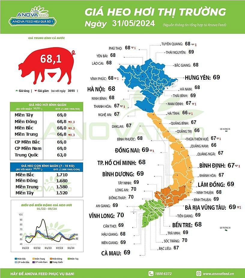 Giá heo hơi ngày 31/5/2024 tại các địa phương