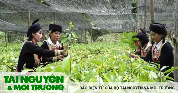 Nông dân “bắc cầu” chính sách