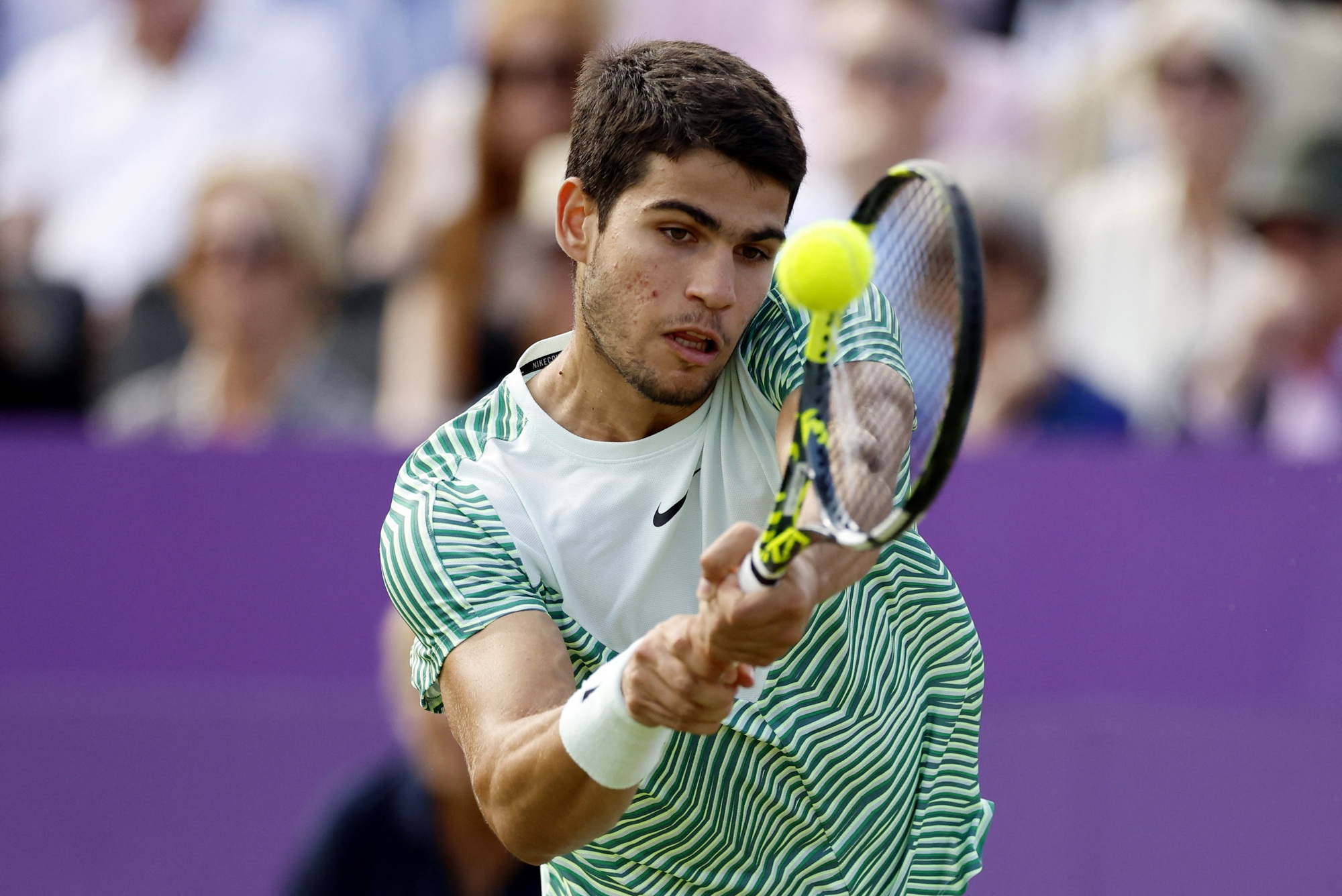 Alcaraz xem Murray và Federer là hình mẫu thi đấu trên mặt sân cỏ - Ảnh 2.