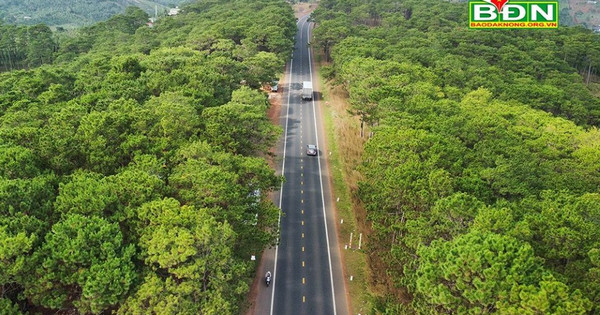 La légende de la forêt froide de Dak Song