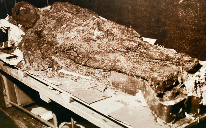 Beim Ausgraben des roten Sarges tritt Quecksilber aus, was Experten in Panik versetzt und zur Flucht veranlasst - 2