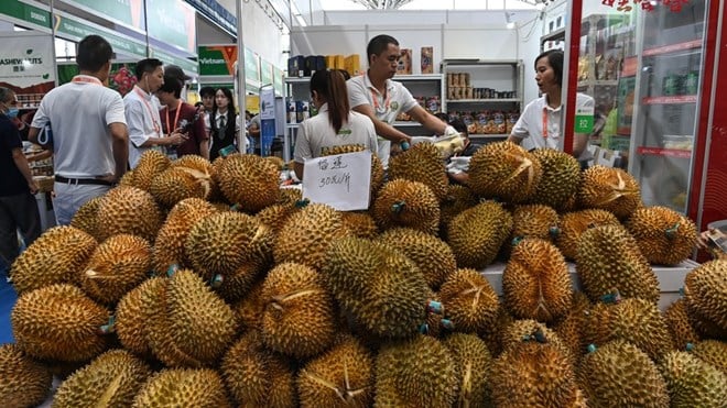 Behind the Vietnamese durian fever in China