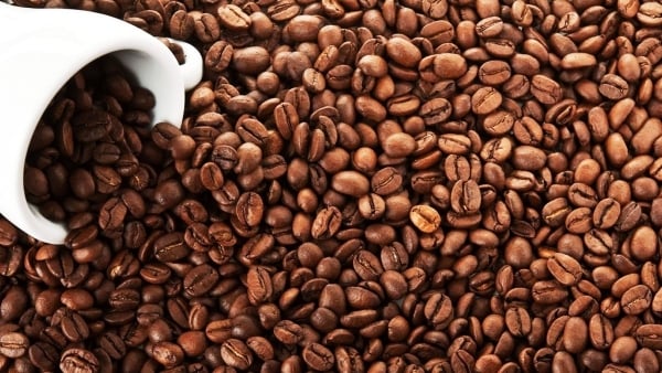 Sản lượng cà phê Robusta Việt Nam sẽ giảm 1% trong mùa vụ 2024/25