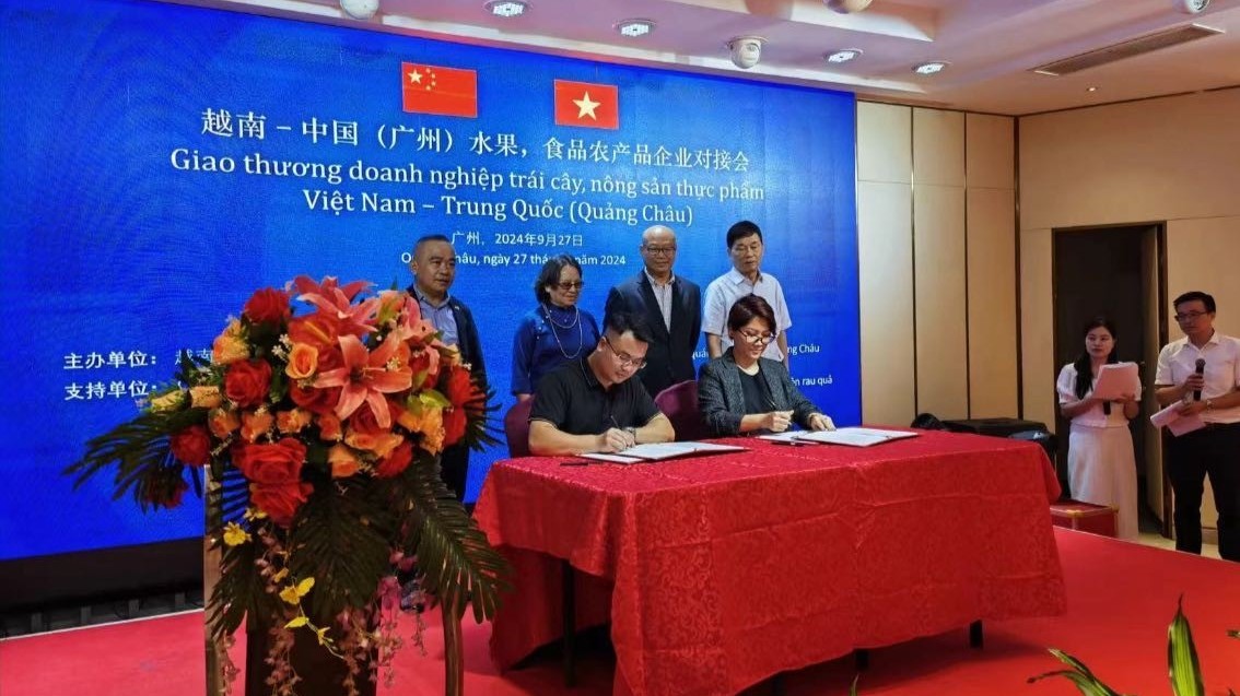 Connecting Vietnamese-Chinese fruit and agricultural product trade in Guangzhou