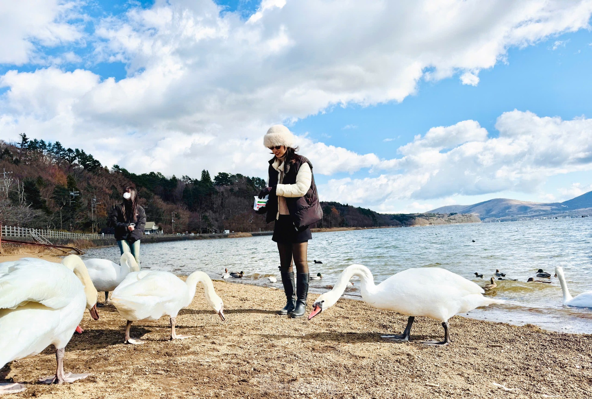 Admirez le paysage du lac des cygnes au pied du mont Fuji photo 4