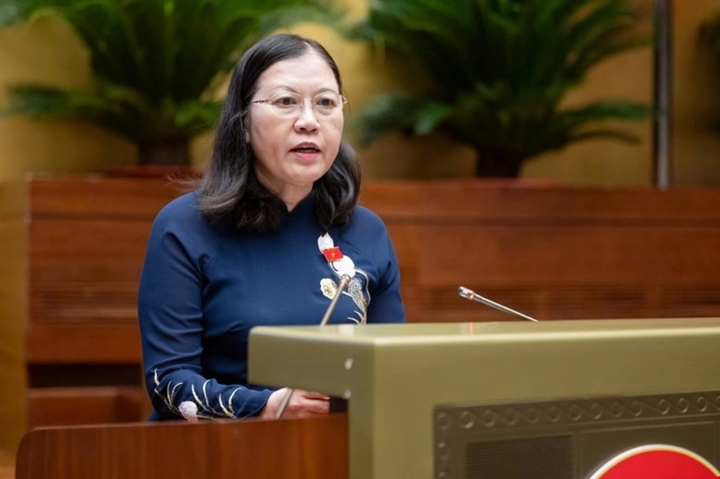 Presidenta del Comité de Justicia de la Asamblea Nacional, Le Thi Nga.