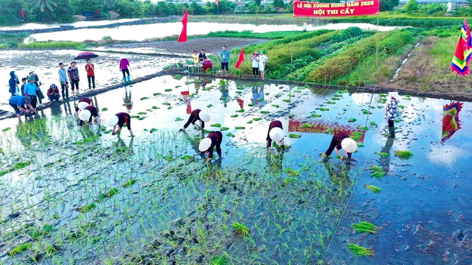 Vamos al festival de los campos en la ciudad de Quang Yen.