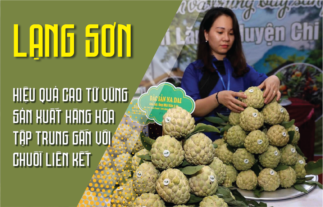Longform | Lang Son: High efficiency from concentrated commodity production areas associated with the chain