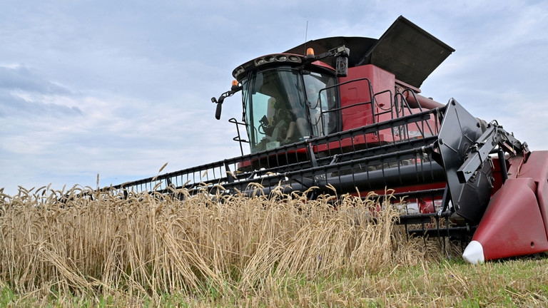 รัสเซียกำหนดเงื่อนไขในการกลับมาดำเนินการโครงการ Black Sea Grain Initiative อีกครั้ง