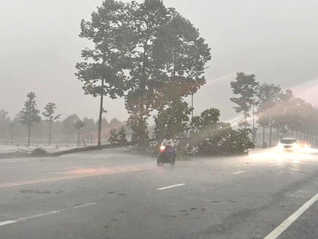 Starker Regen lässt Markt in Binh Duong einstürzen, Menschen geraten in Panik und fliehen. Foto 1