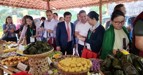 Đoàn đại biểu tham dự hội nghị quốc tế về du lịch nông thôn trải nghiệm Làng rau Trà Quế