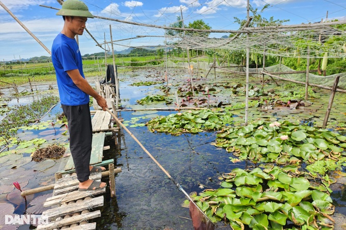 8X từ tay trắng thành… vua ốc nhồi, thu lãi hơn nửa tỷ đồng mỗi năm - 1