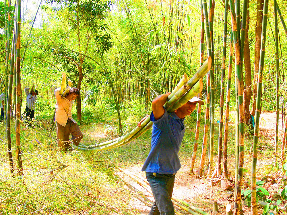 Chợ làng lạ lùng ở An Giang, trên bến dưới thuyền, tấp nập cả năm chỉ bán cây tầm vông thẳng tuột- Ảnh 5.