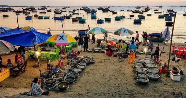 Si vous souhaitez acheter des fruits de mer frais, rendez-vous dans ces 4 marchés de Phan Thiet