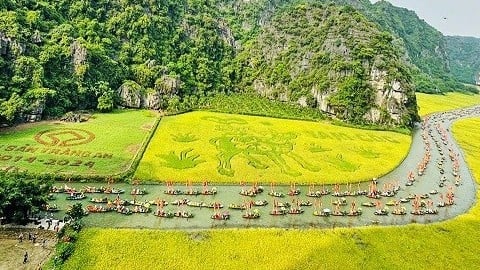 Ninh Binh Tourism Week 2024: Tam Coc dyed yellow