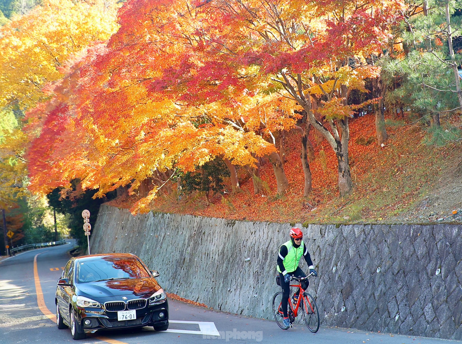 Fasziniert von der Herbstlandschaft mit roten und gelben Blättern in Japan, Foto 1