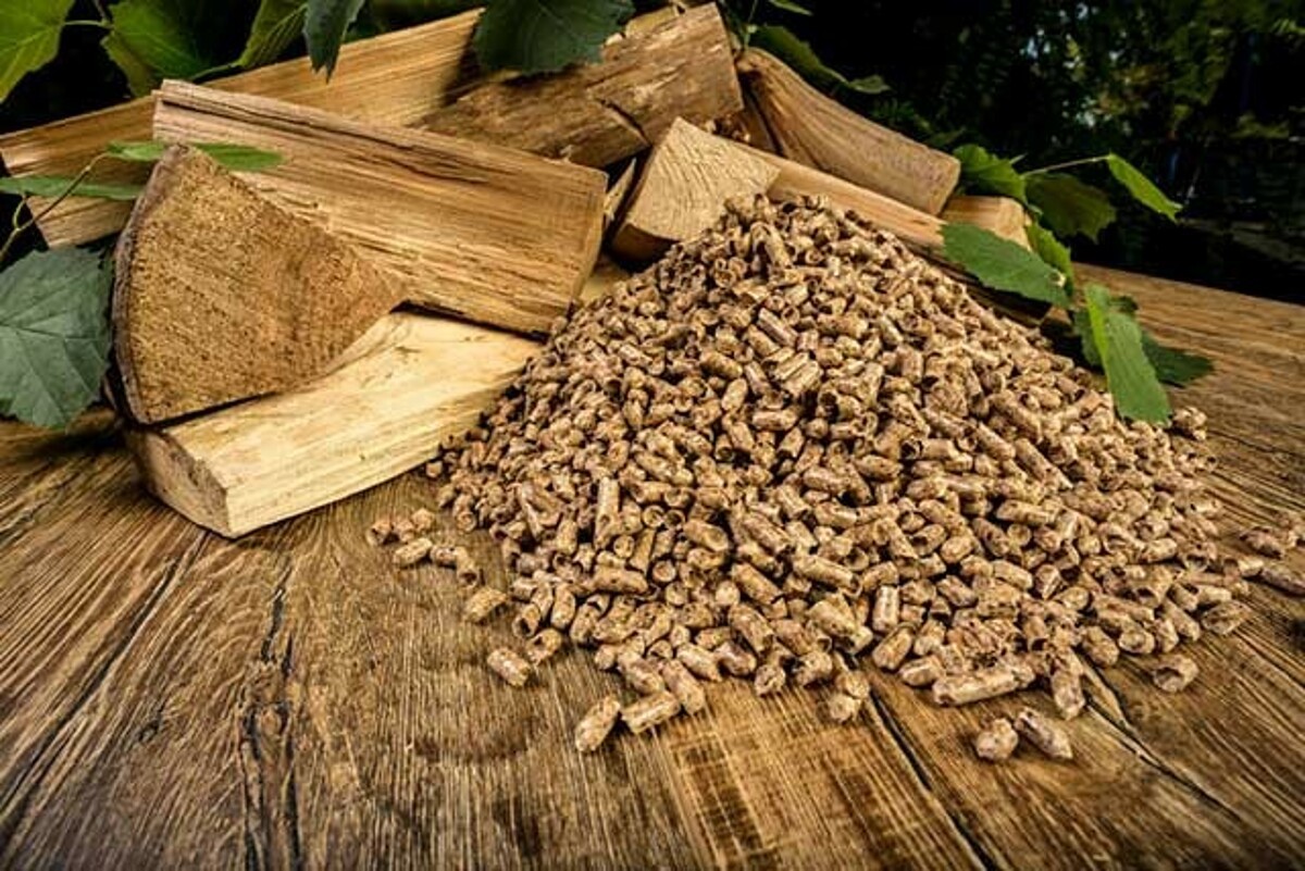 Vietnam gana 2.900 millones de dólares con la venta de astillas y pellets de madera